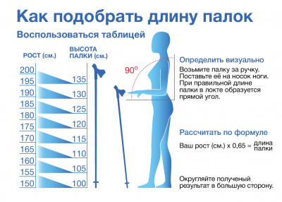 Палки Vinson Plus NP531